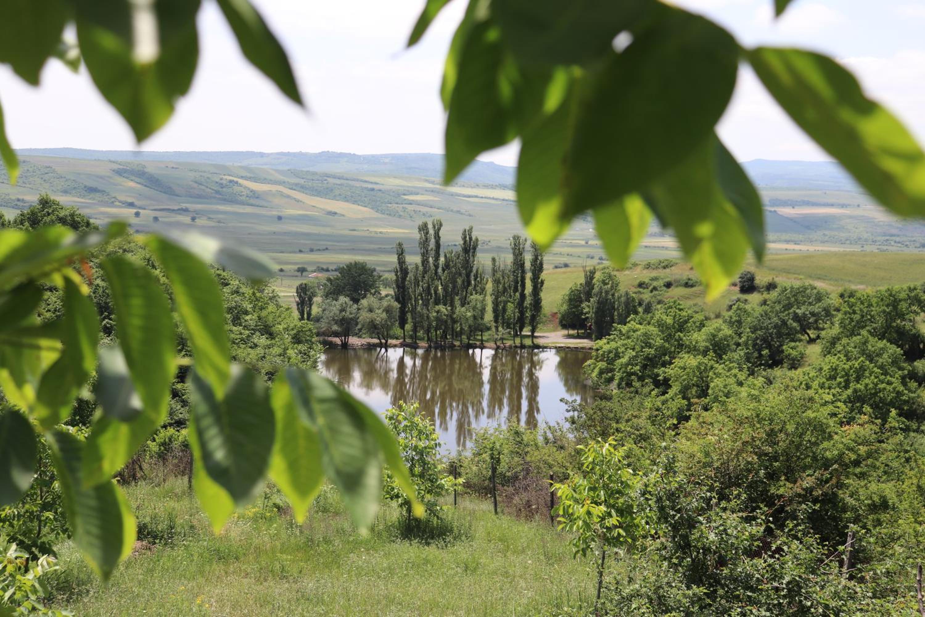 Lakeside Garden - Ismayilli Guest house