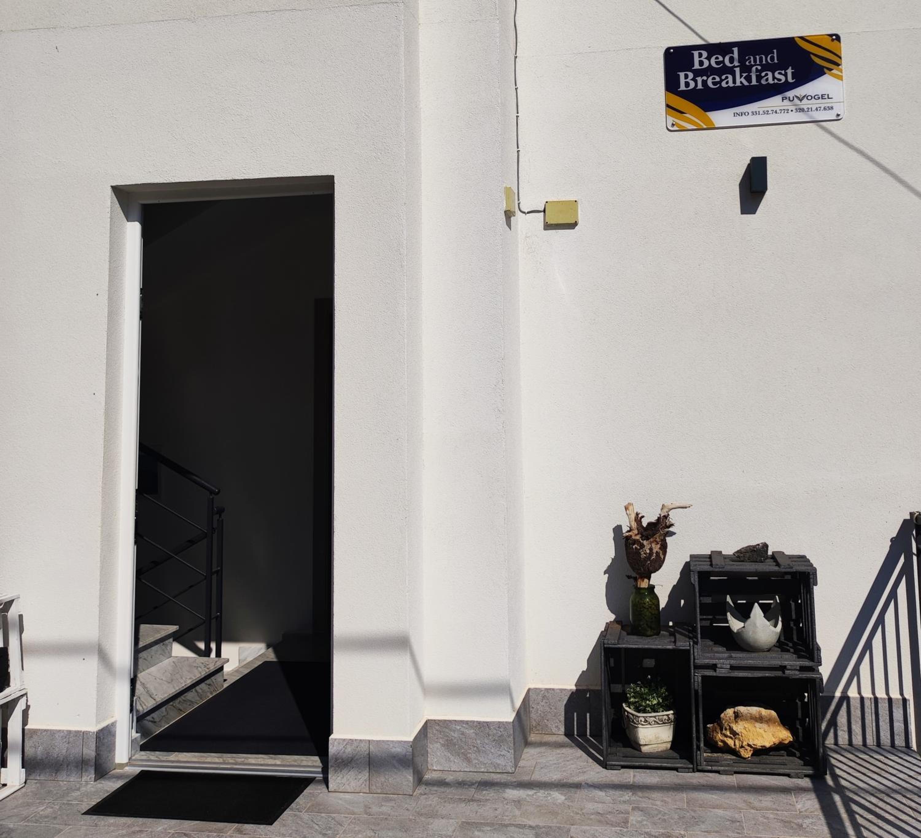 Photo 46