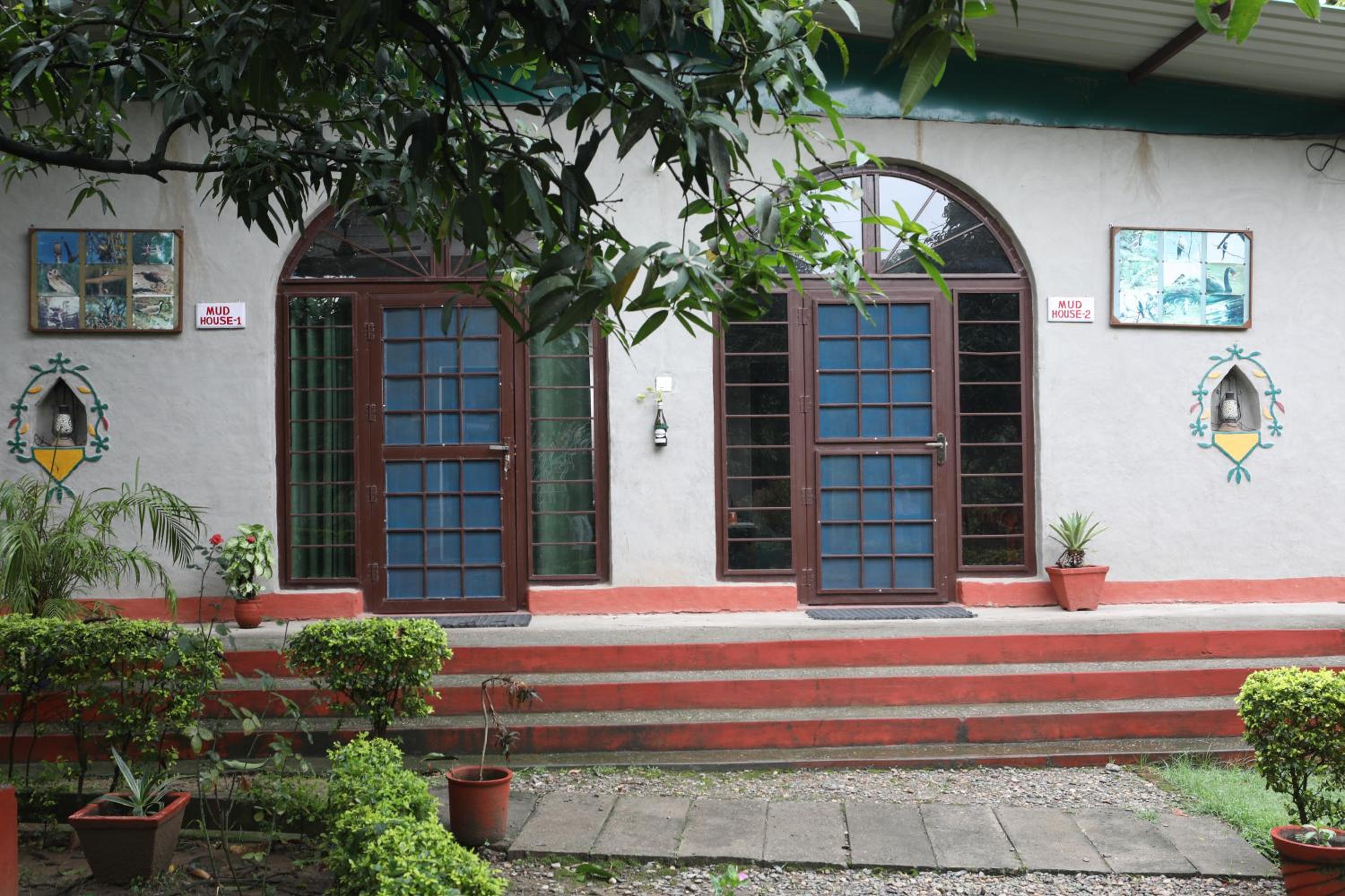 Photo 15