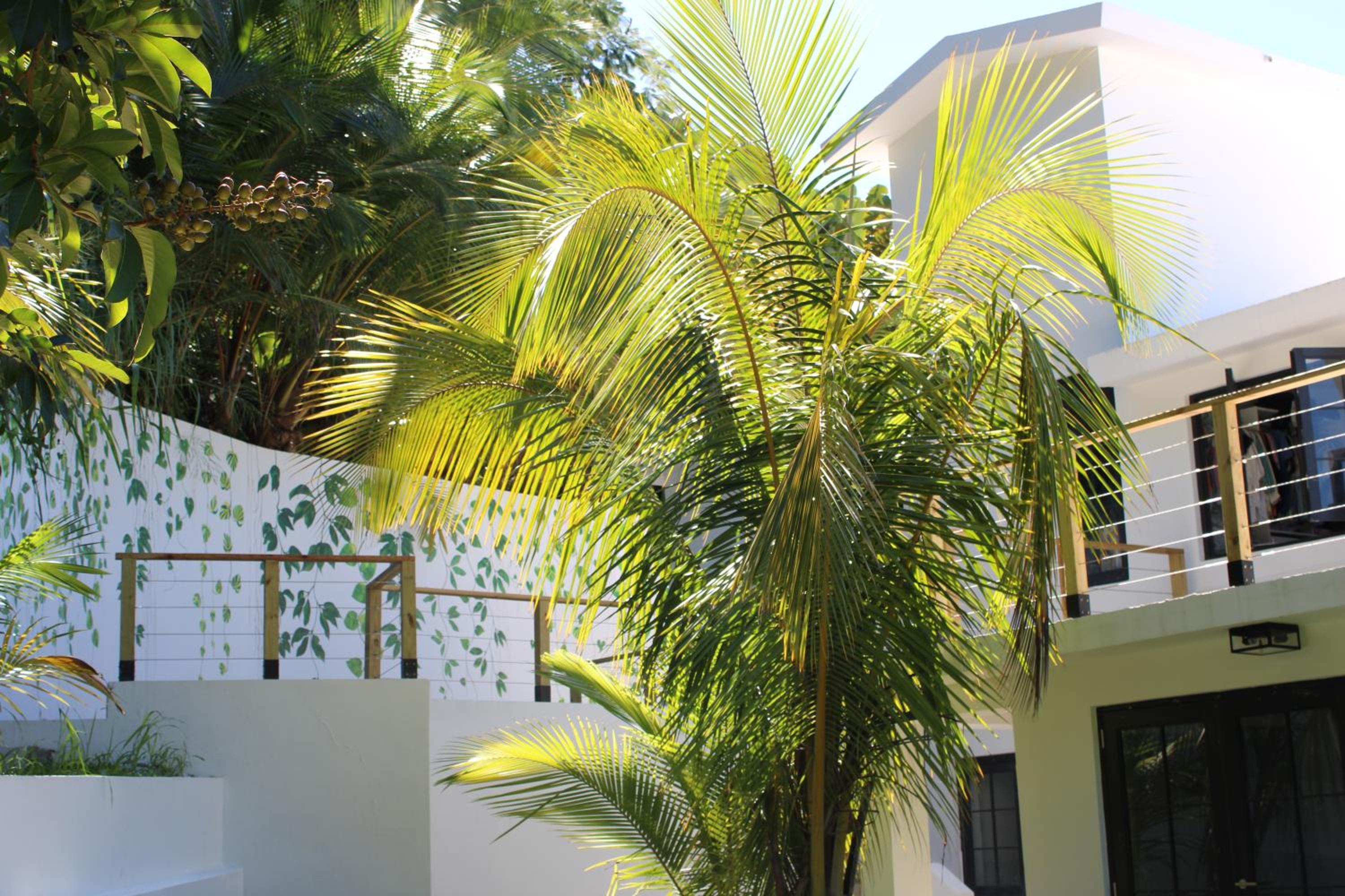 Photo 48
