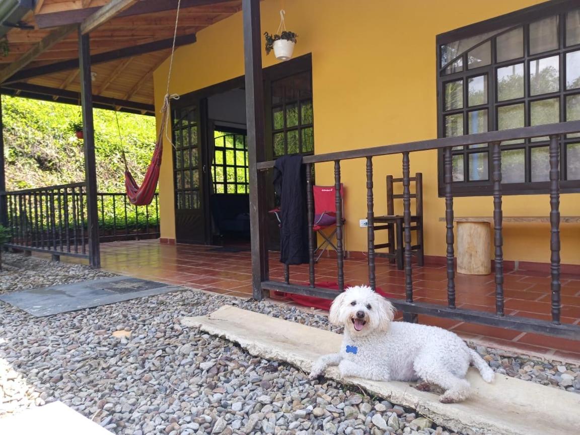 Casas De Campo - El Paraíso