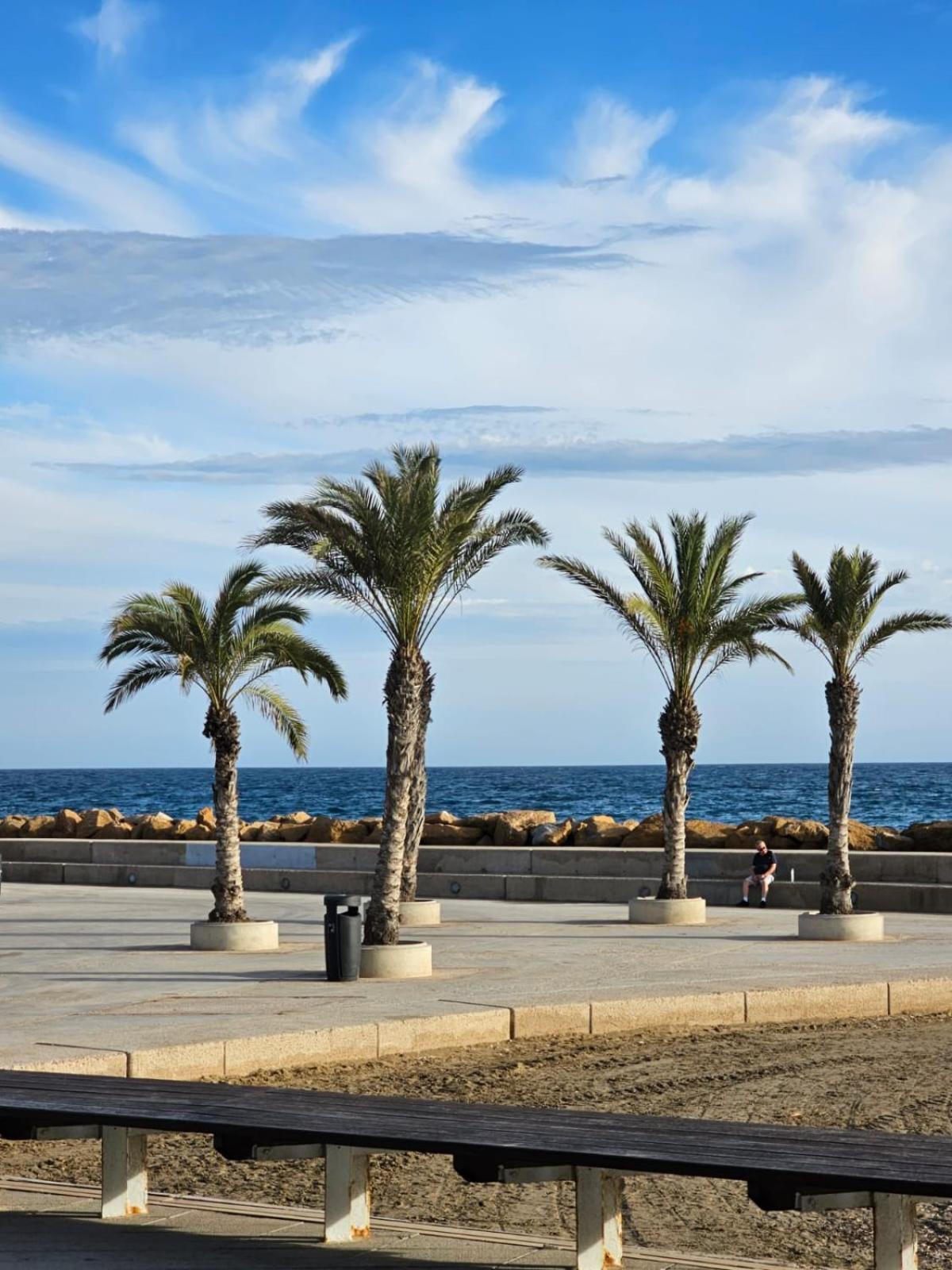Аcogedor apartamento de dos dormitorios en torrevieja