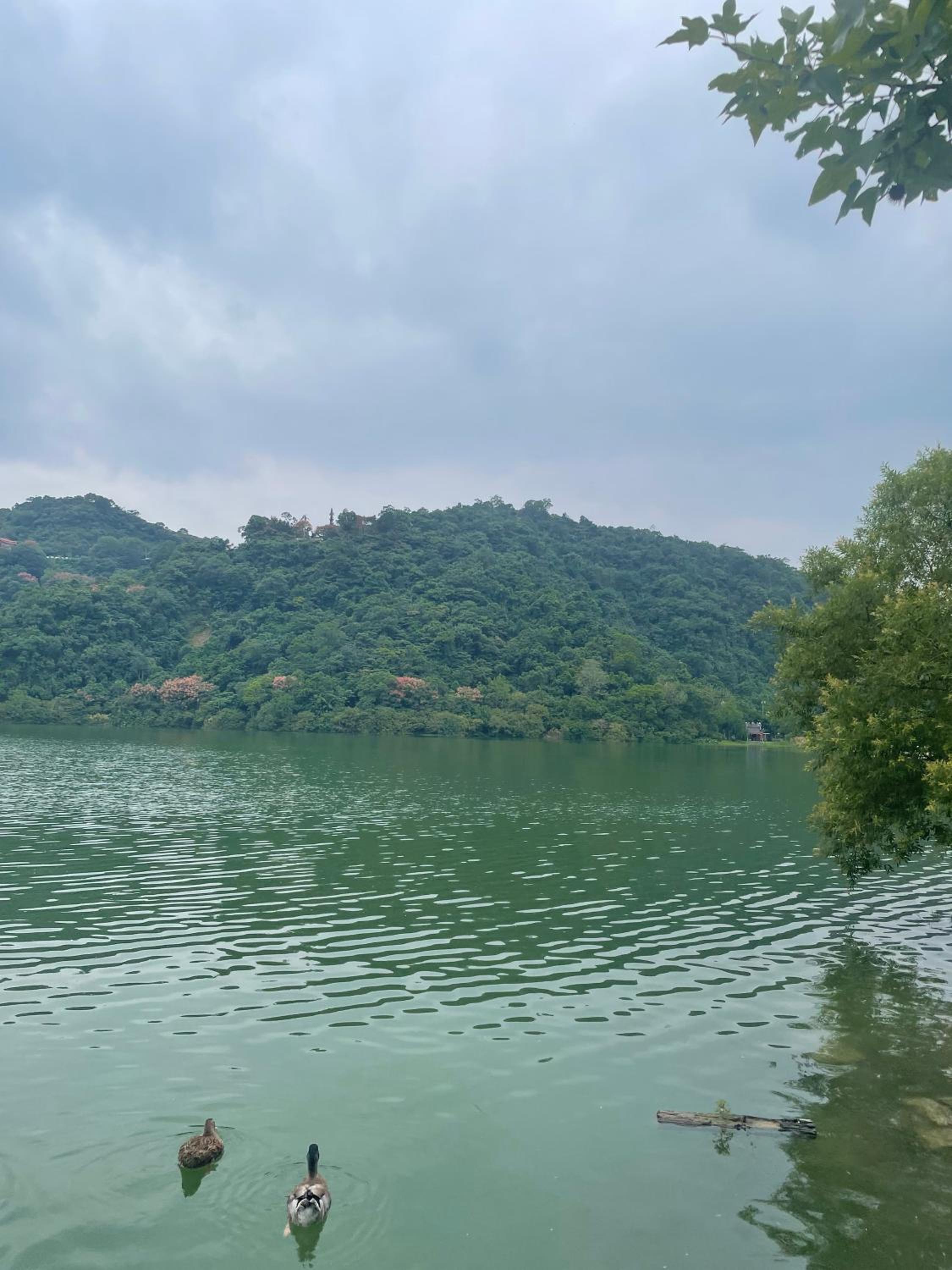 Jiu Xingji