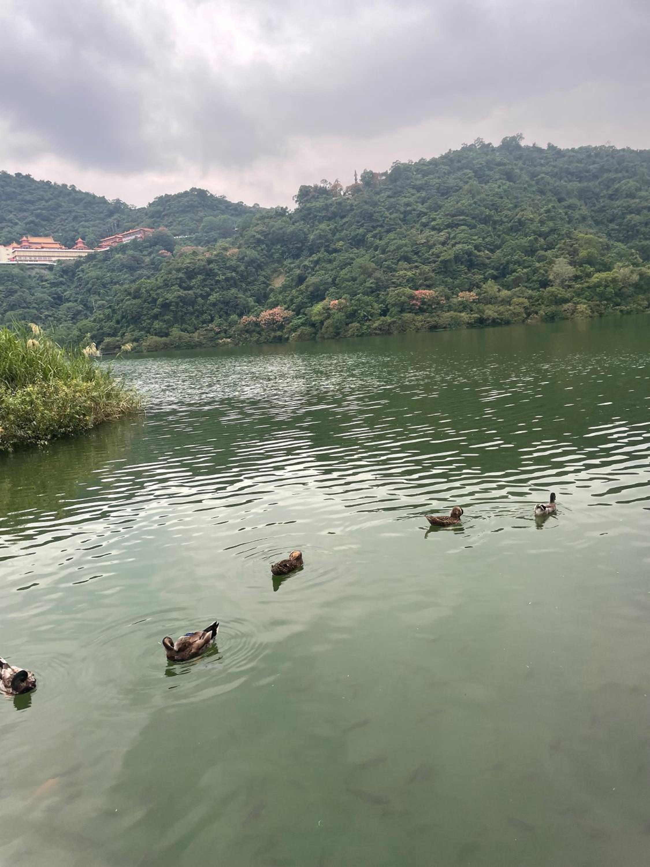 Jiu Xingji