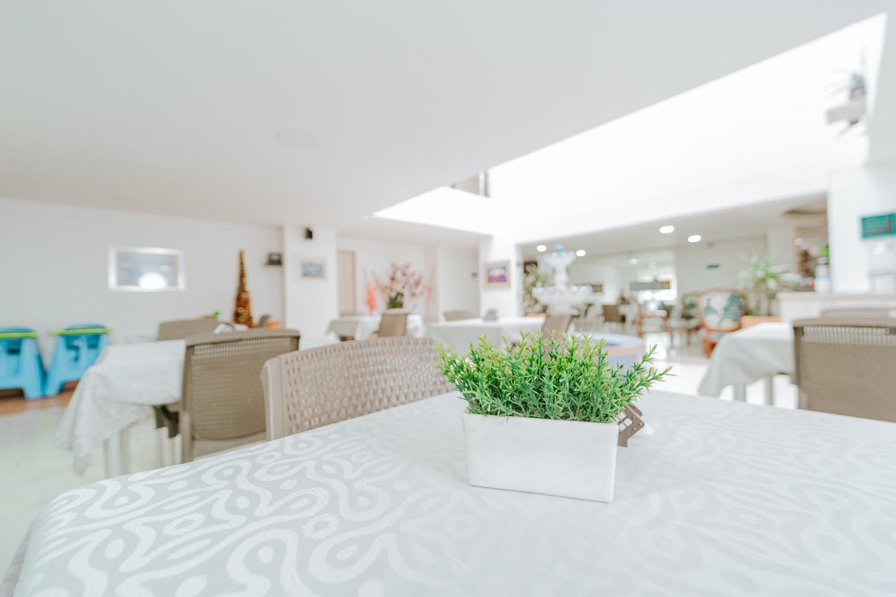 HOTEL VERANO, photo 16