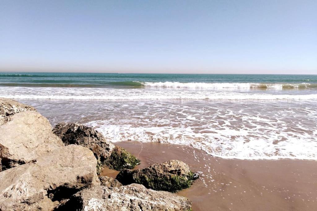 Alojamiento junto al Oceanográfic