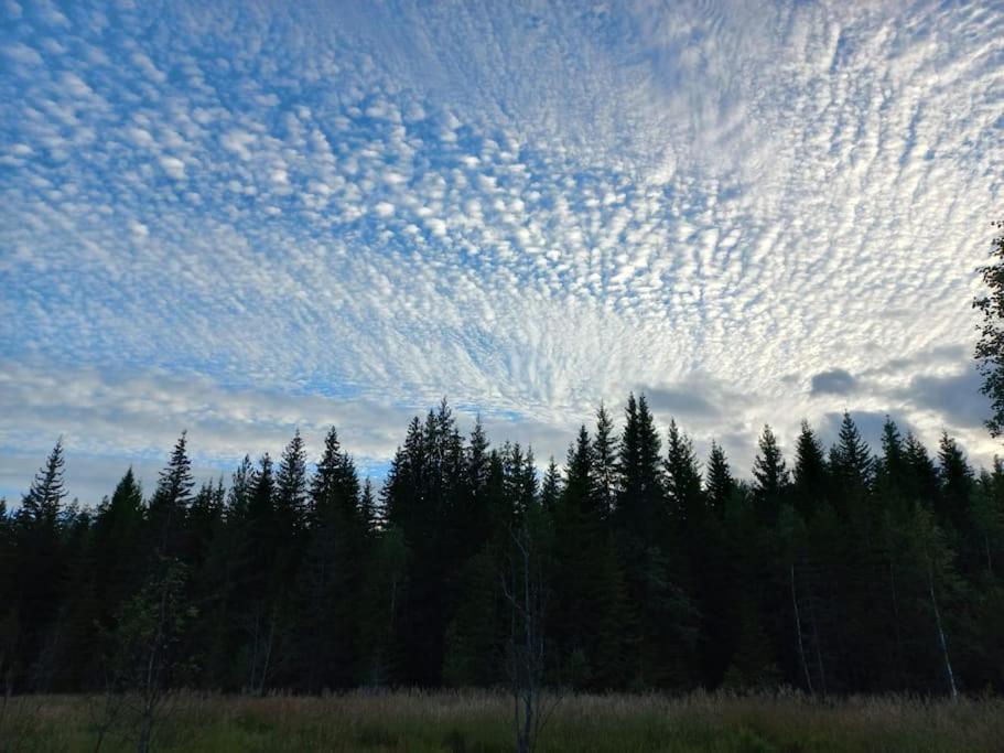 Photo 33