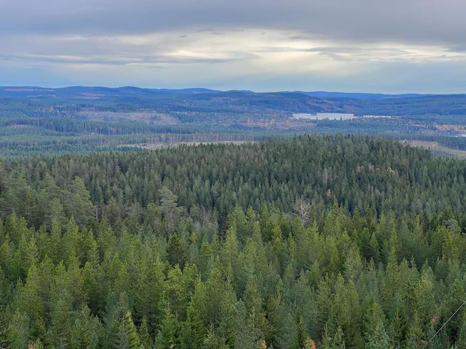 Photo 45