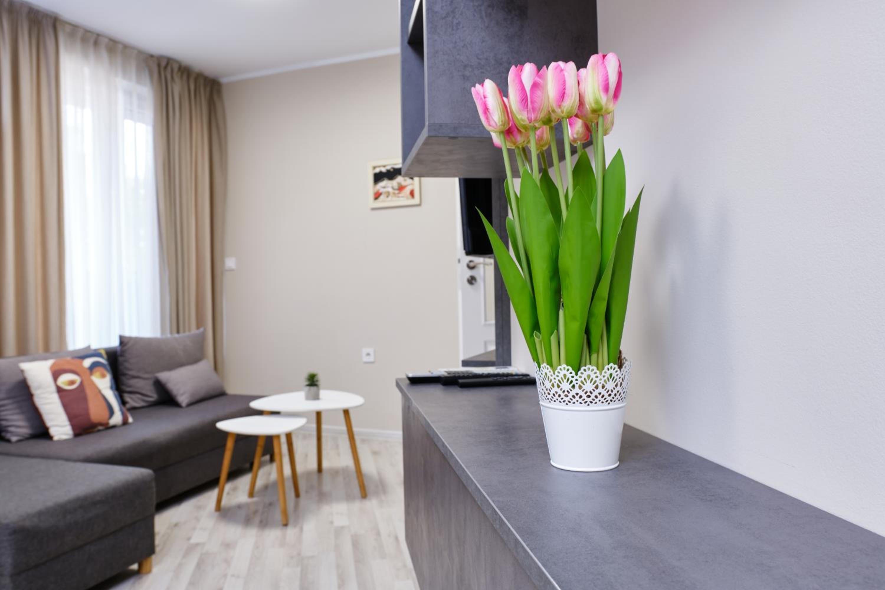 Cozy 1-bed Apartment 2