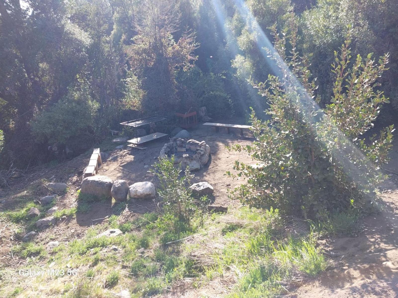 Reina Mora, Reserva Patagonica