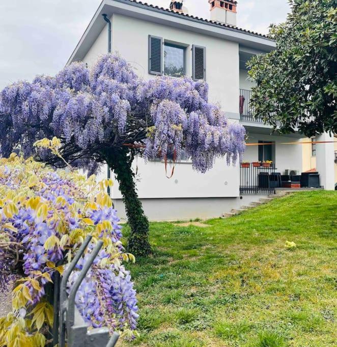 Appartamento incantevole a Capriate San Gervasio