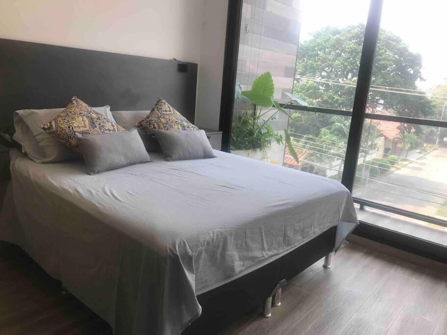 New &charming studio apartment