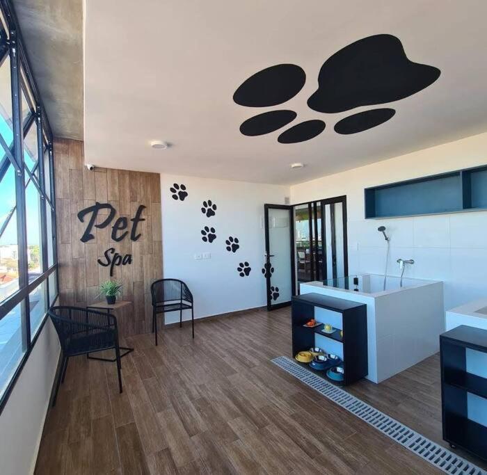 New &charming studio apartment