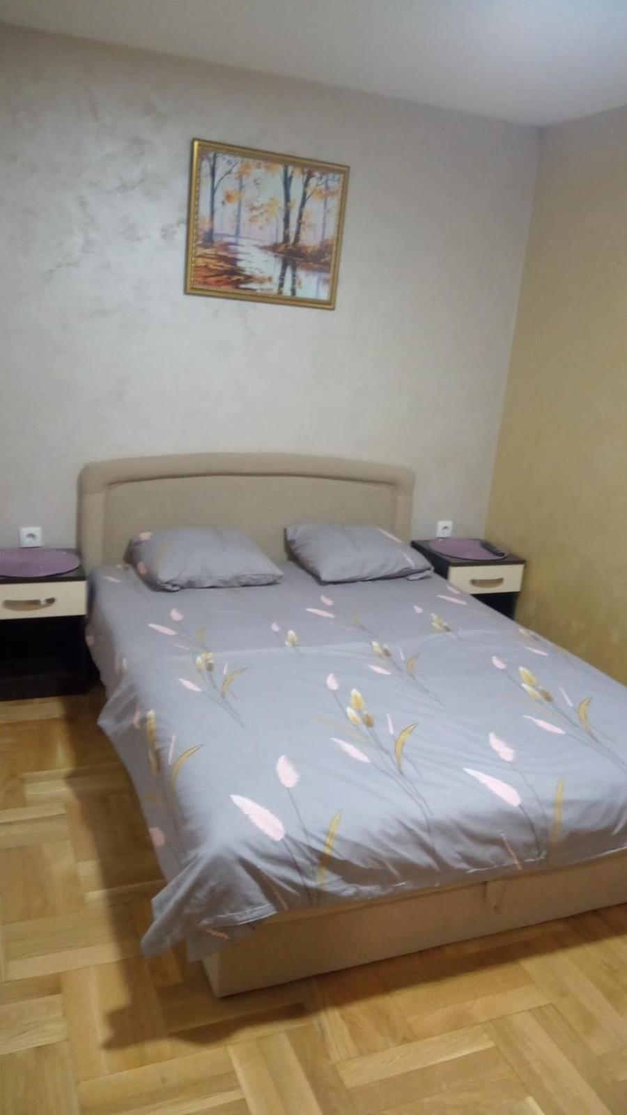 Apartman Dinić Zlatibor view 4