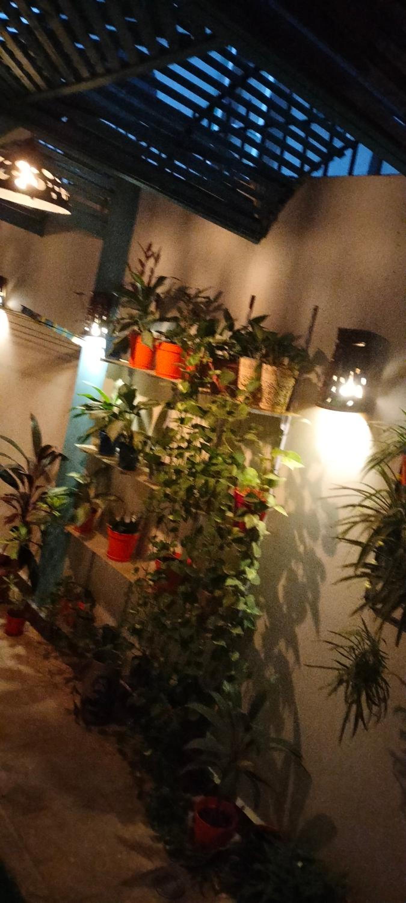 Studiou