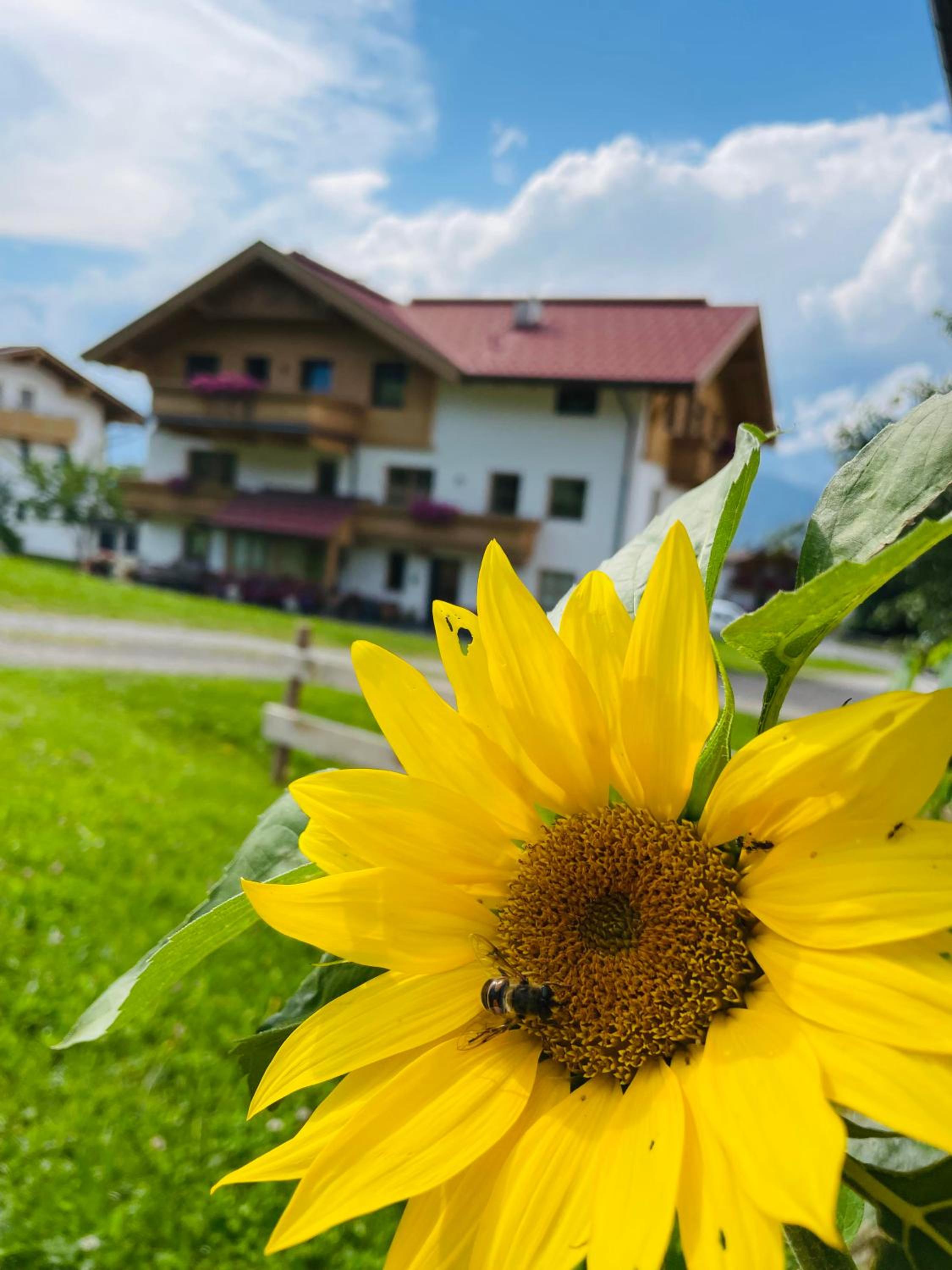 Schneiderhof