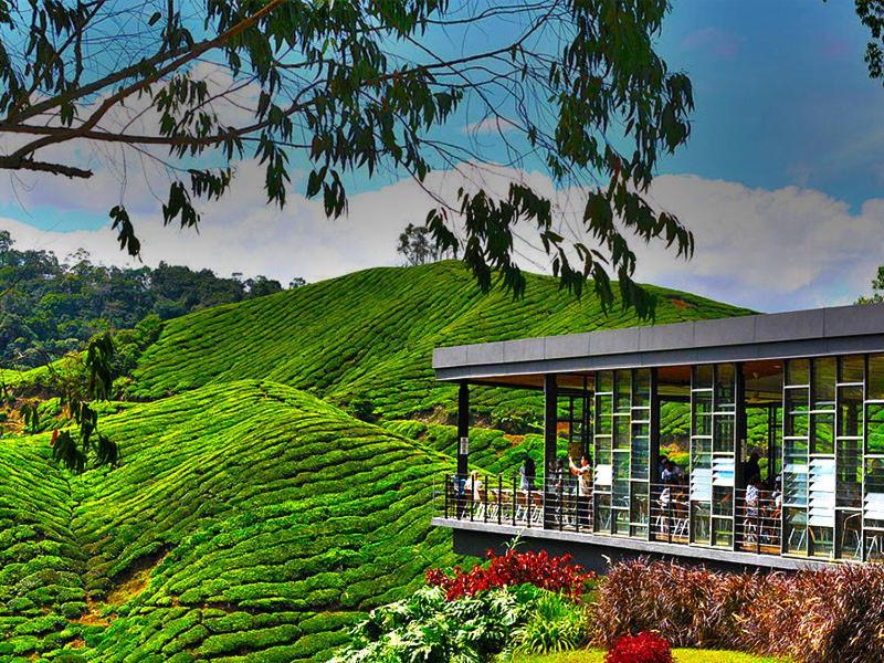 D'Cameron Homestay 2 photo 2