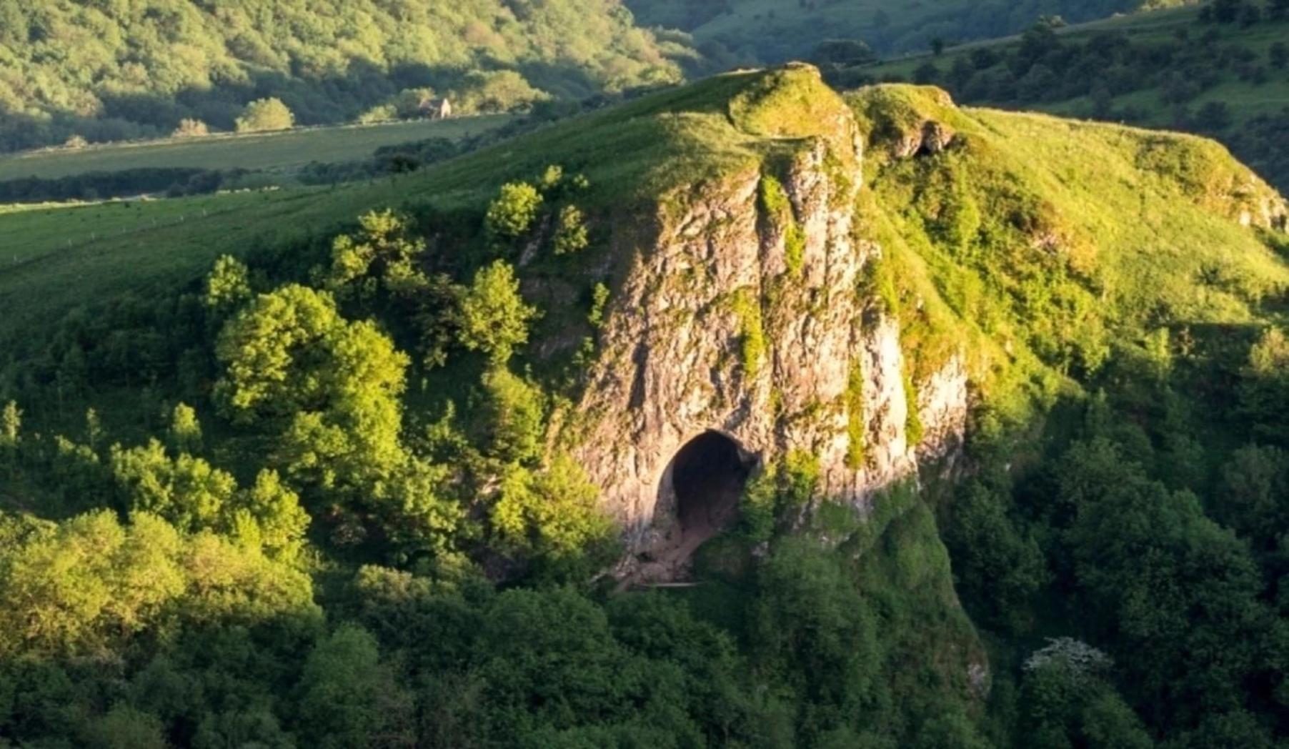 Classy 2 Bed Near Alton Towers, Polar Bears, Peak District view 5