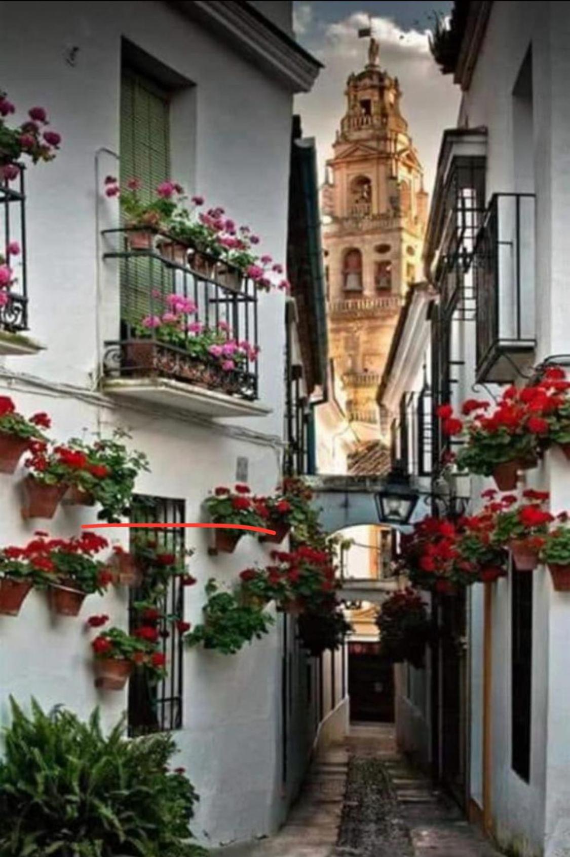 APARTAMENTO LA MAGDALENA