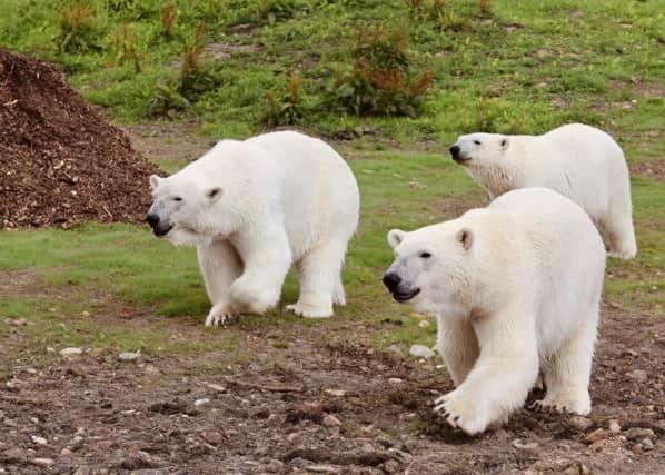 Photo 39