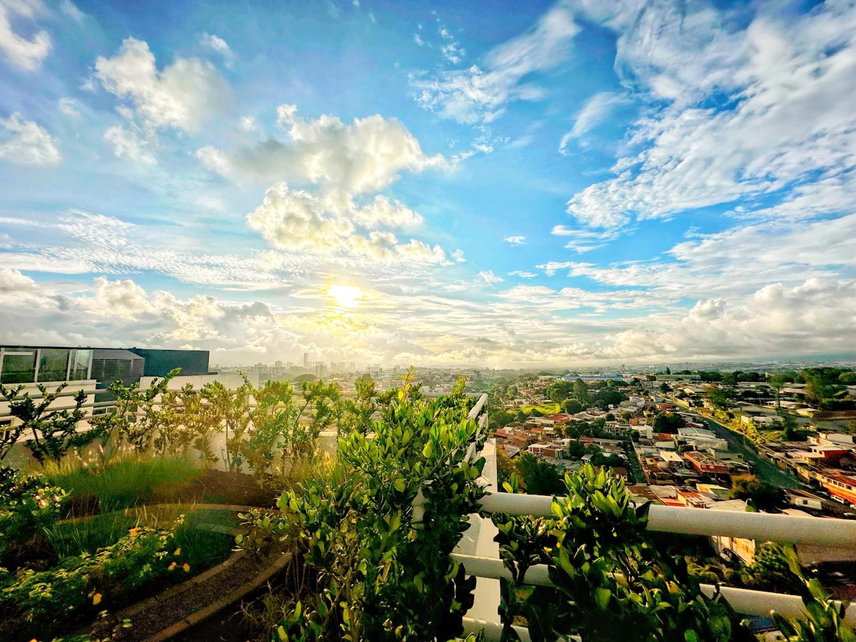 roof