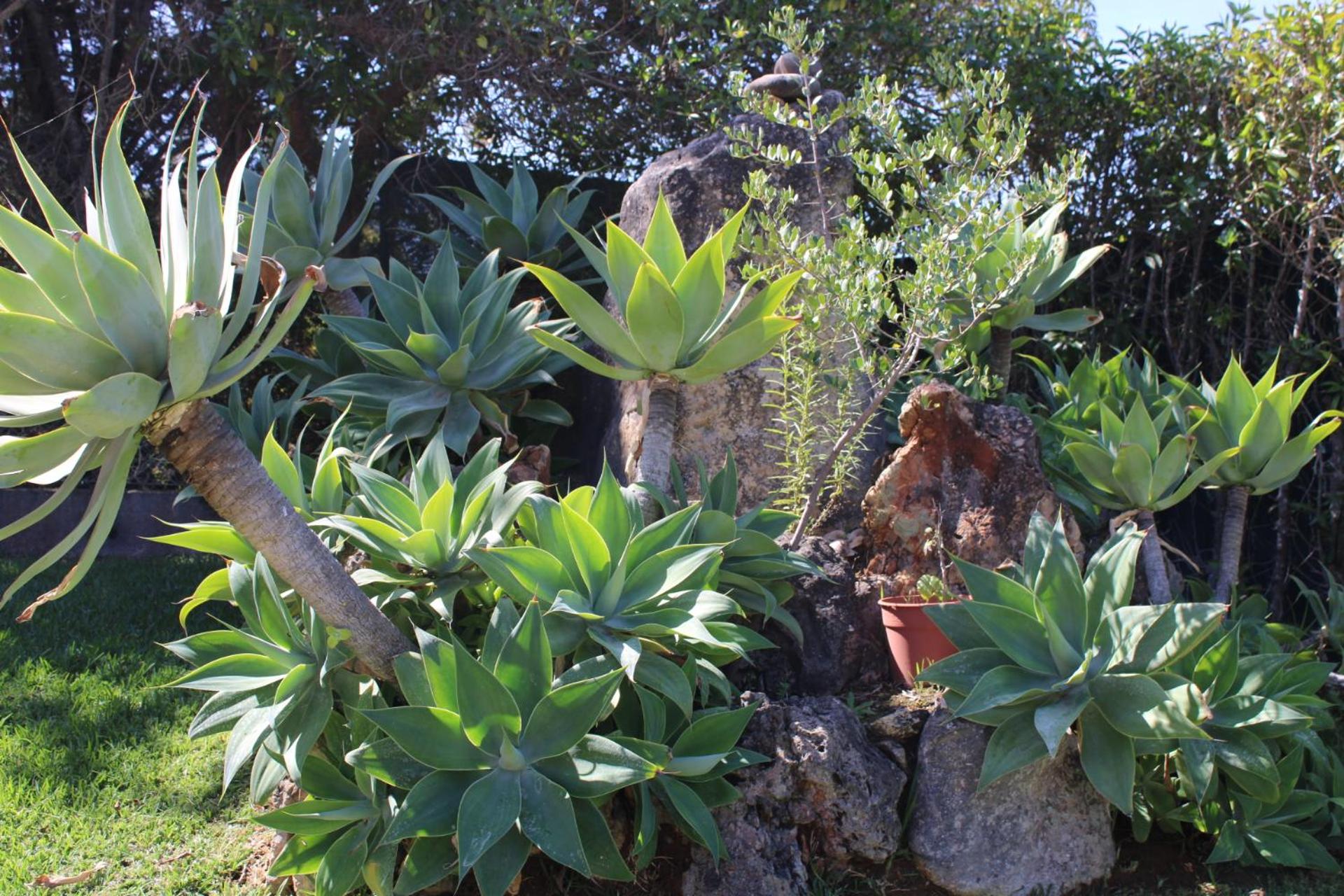 Photo 26