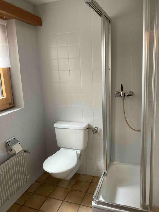 Appartement at the heart of Saas Fee