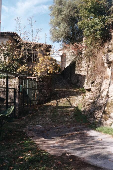 Casa à Beira da Água Gerês view 4