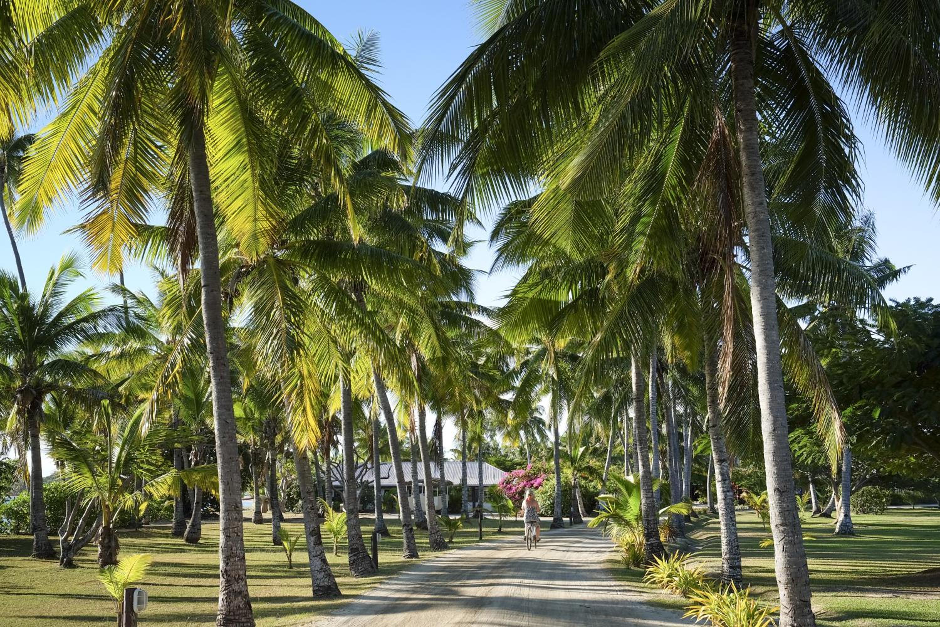 Musket Cove Island Resort & Marina 94