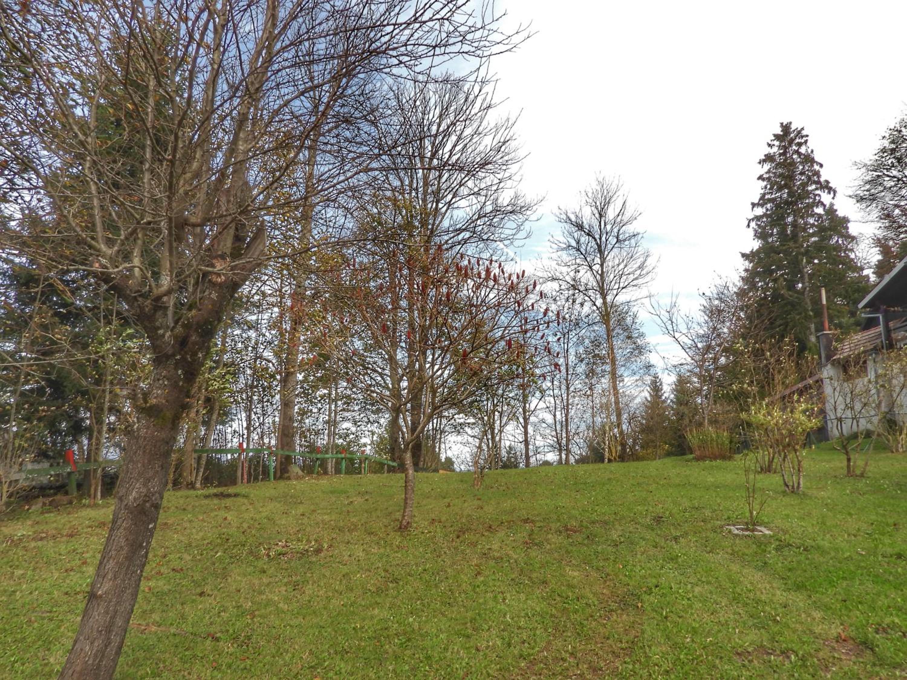 Photo 28