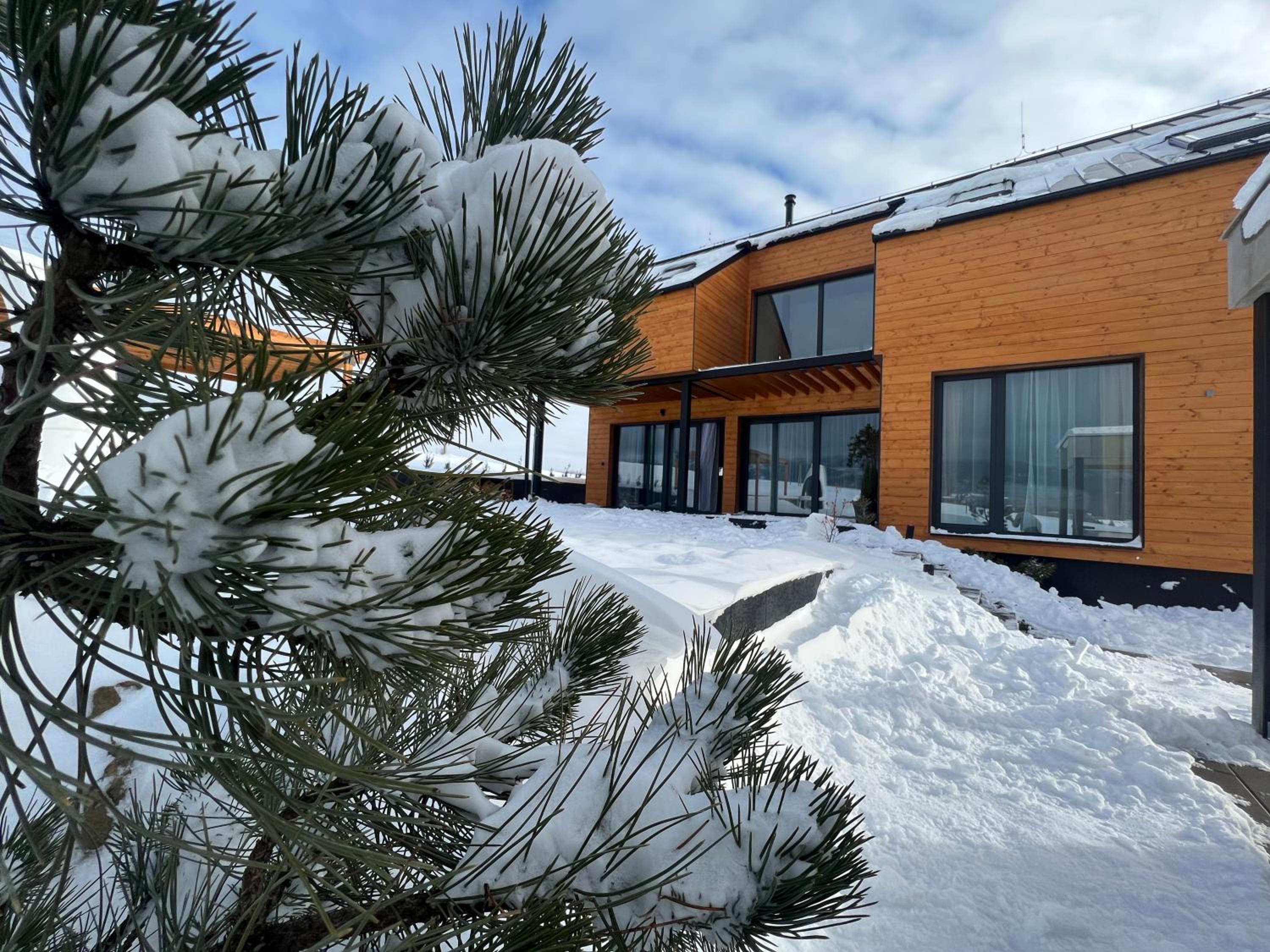 Chalet Furmanski
