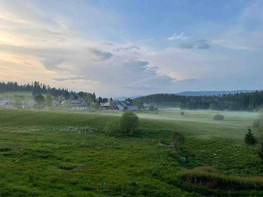 Helle gemütliche Ferienwohnung in Schwarzwaldhof