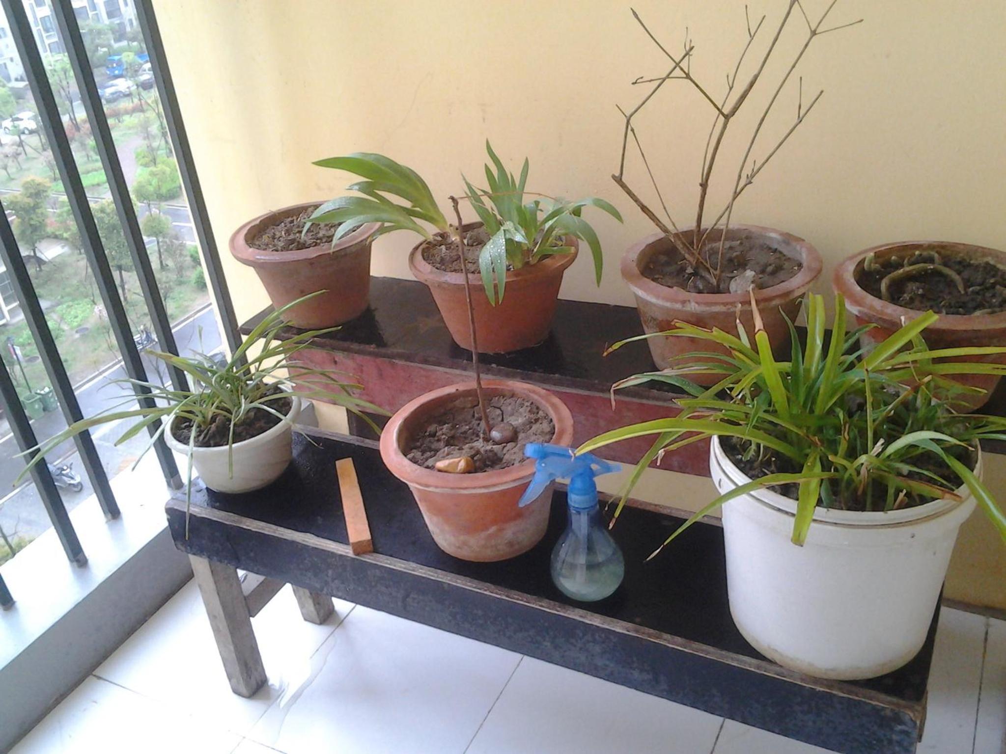 Makerhouse Hostel