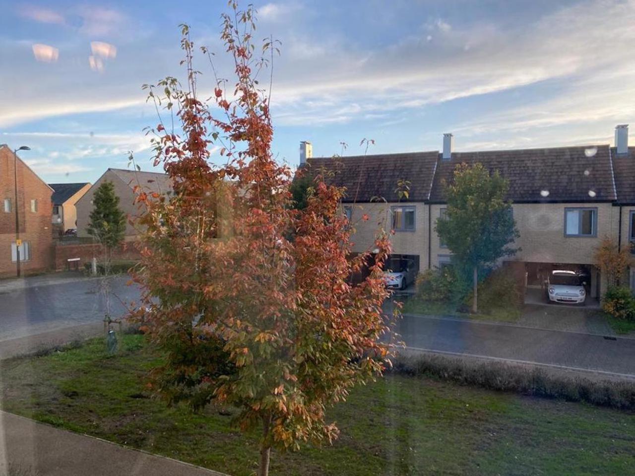Homely, Cosy & Contemporary 4 BDR house with Garden & Parking 5 mins drive to Addenbrookes & Papworth hospitals & Bio Medical campus view 4