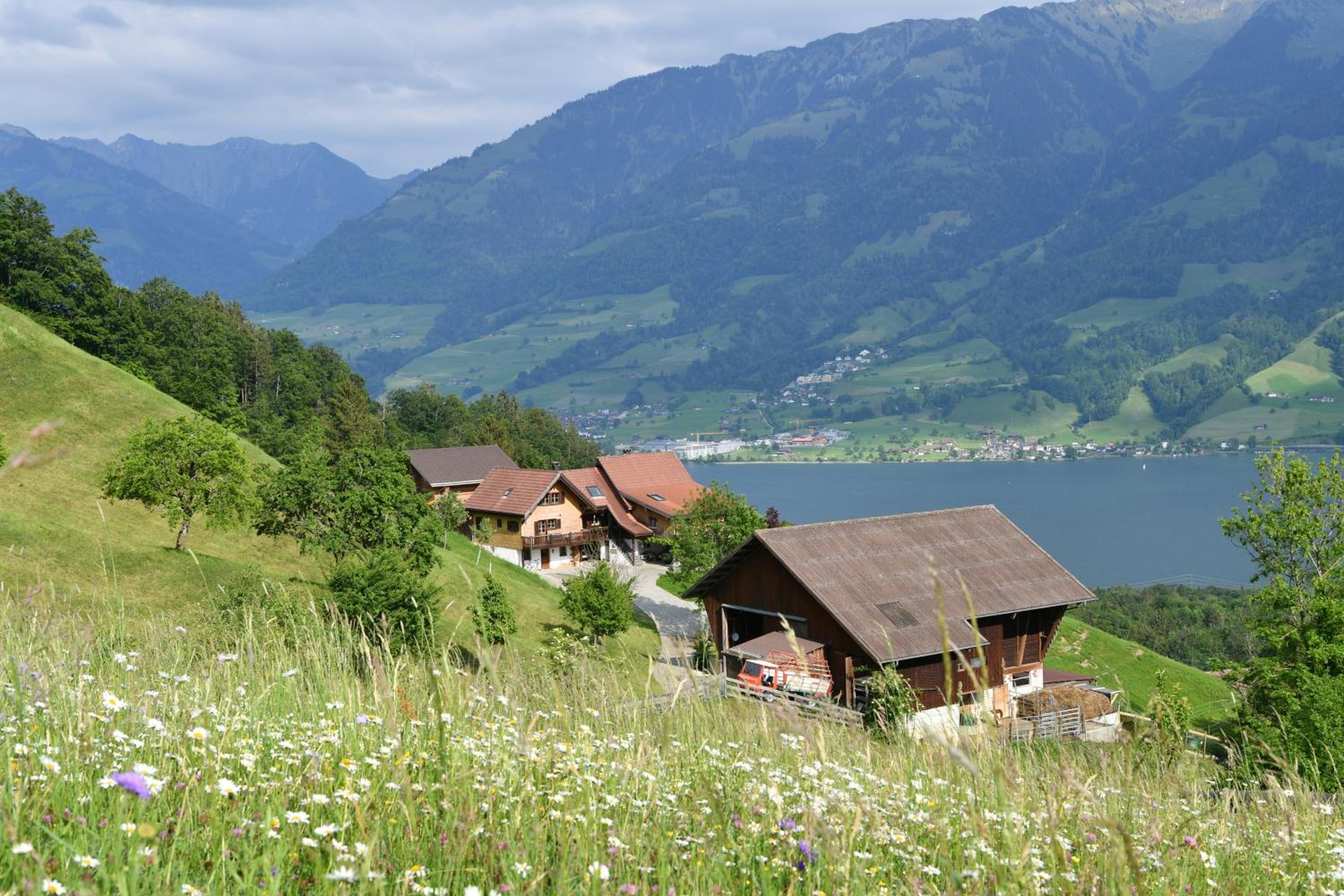 Ferienhaus auf dem Lamahof