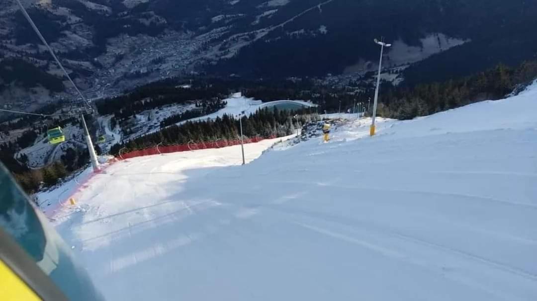 Pensiunea 3flori de Colț view 5