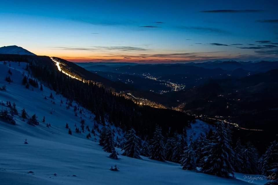 Pensiunea 3flori de Colț view 4