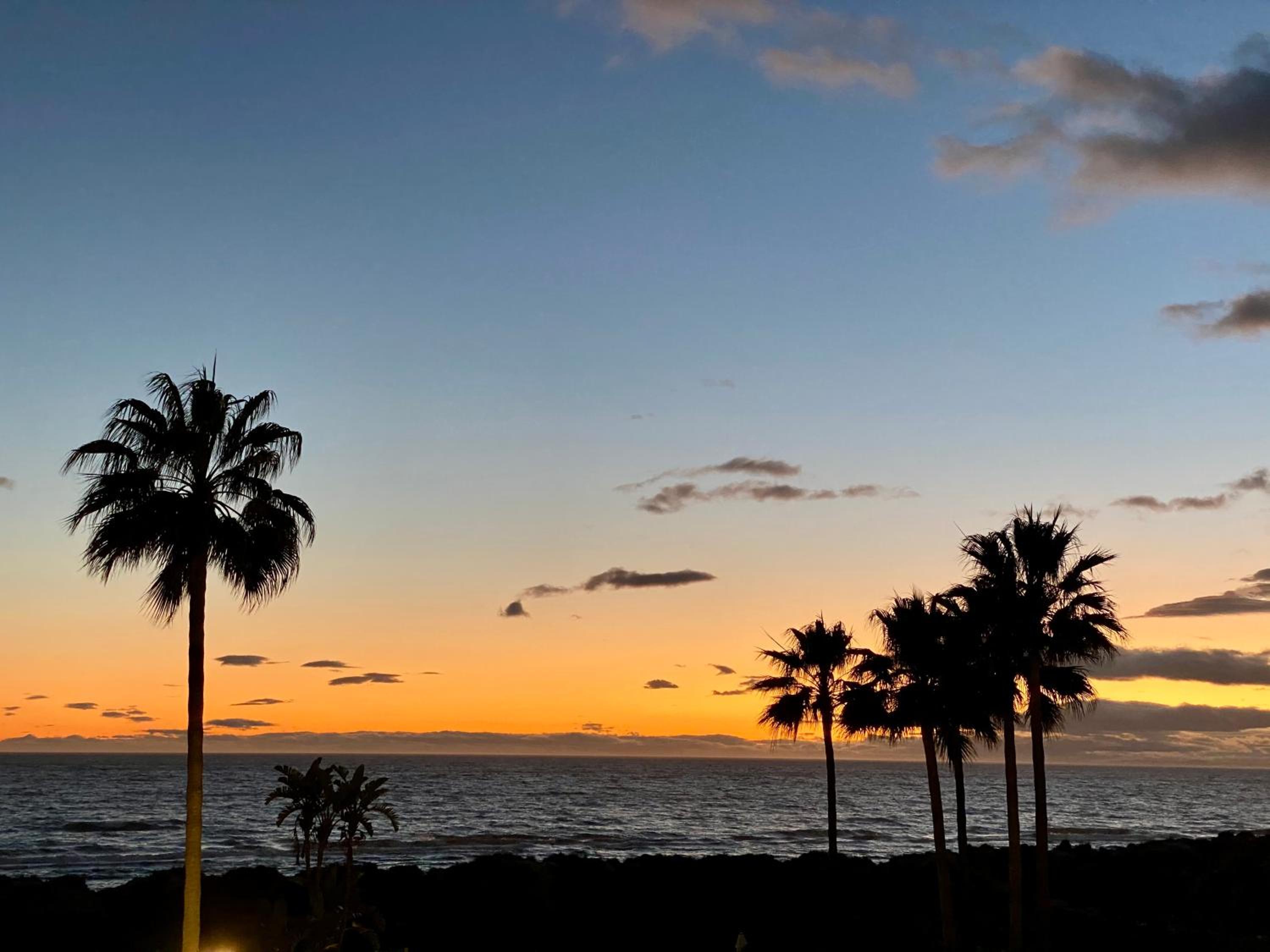Front beach Villa in Marbella with Amazing Sea Views Semidetached