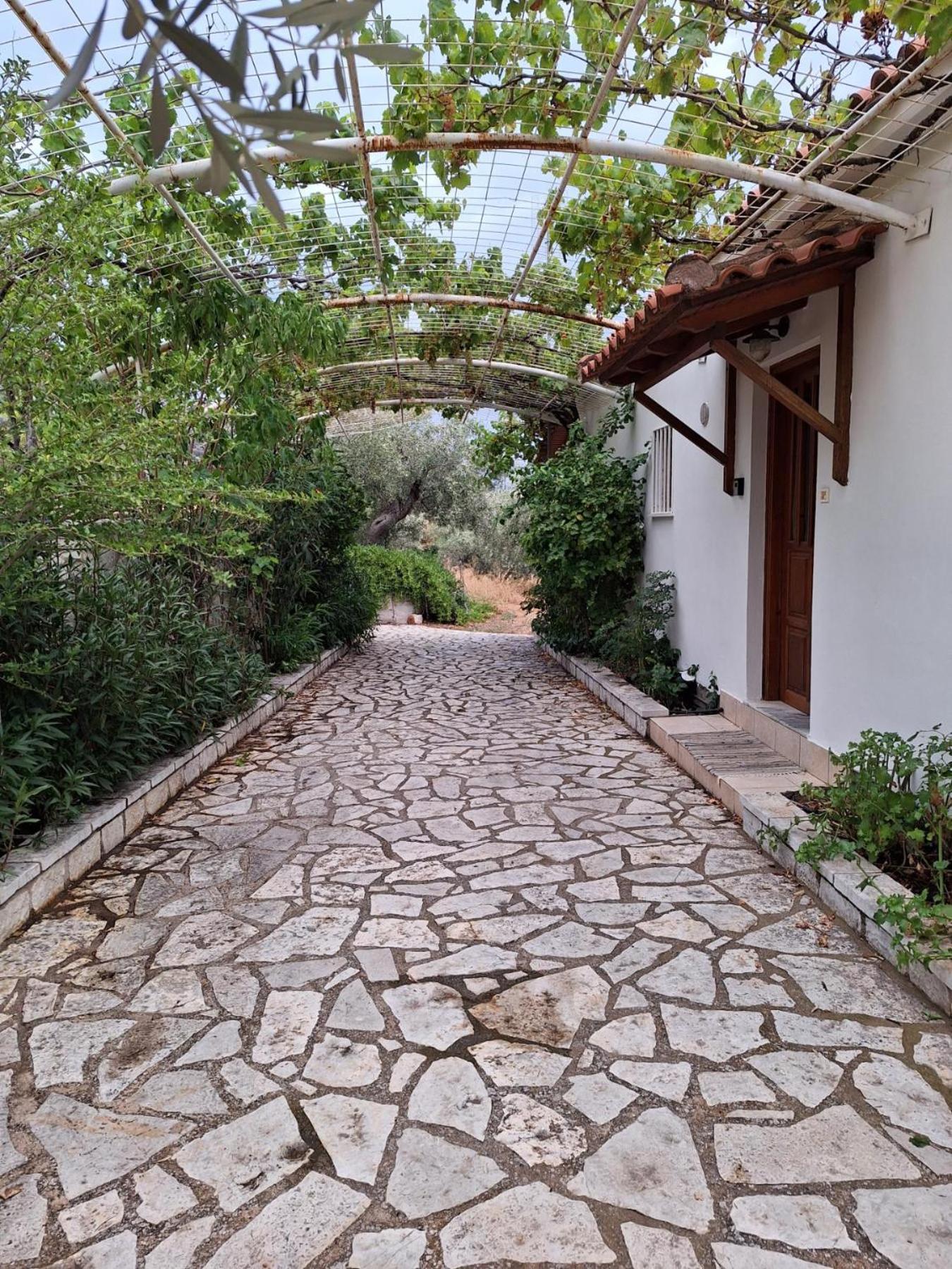 Villa Elea