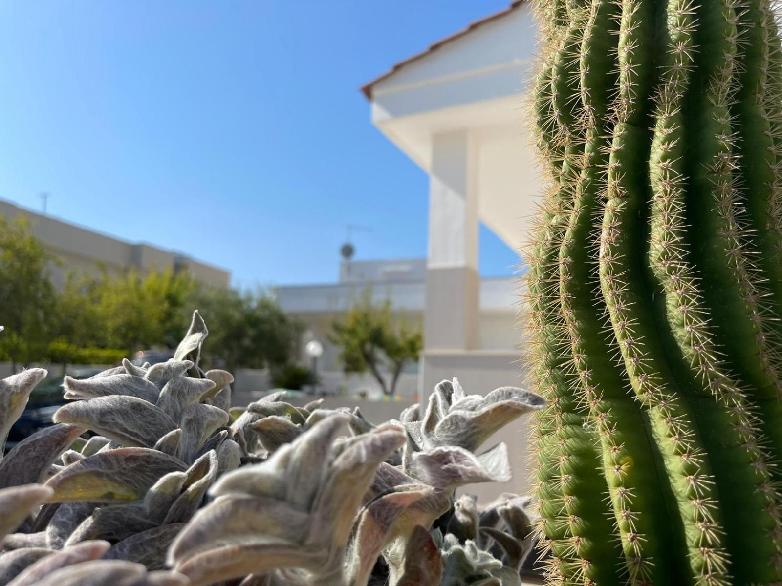 Villa Incanto Pina - Torre Canne view 4