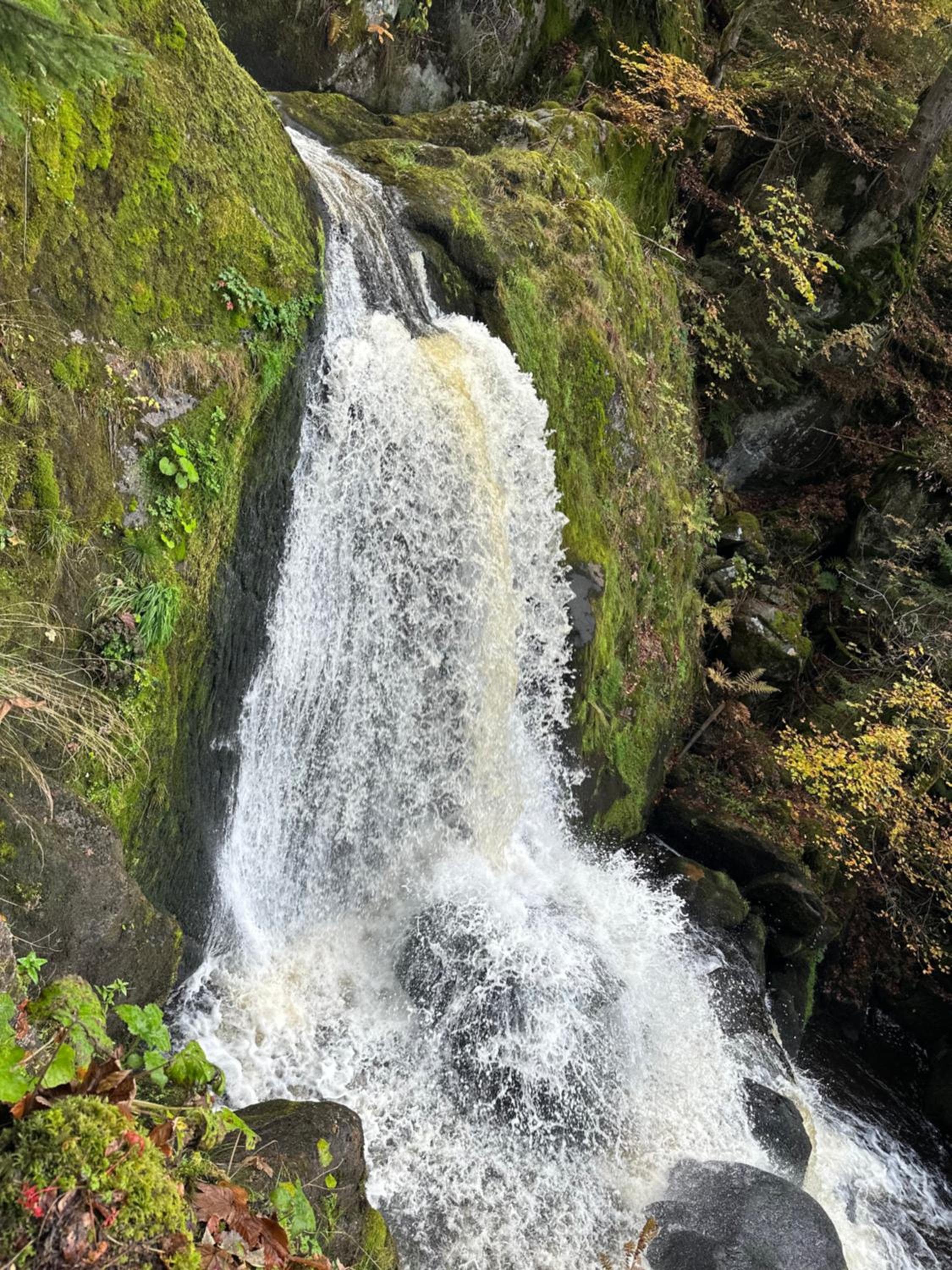 Ruhige Ferienwohnung in Schönwald