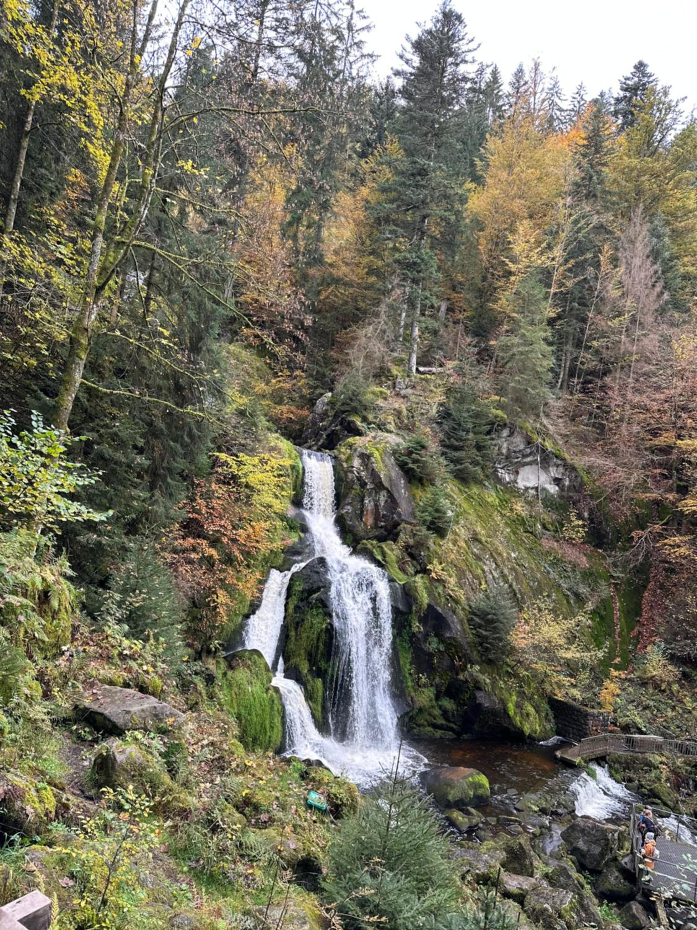 Ruhige Ferienwohnung in Schönwald