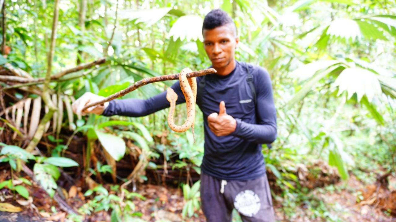 hostal herping bahia solano tour