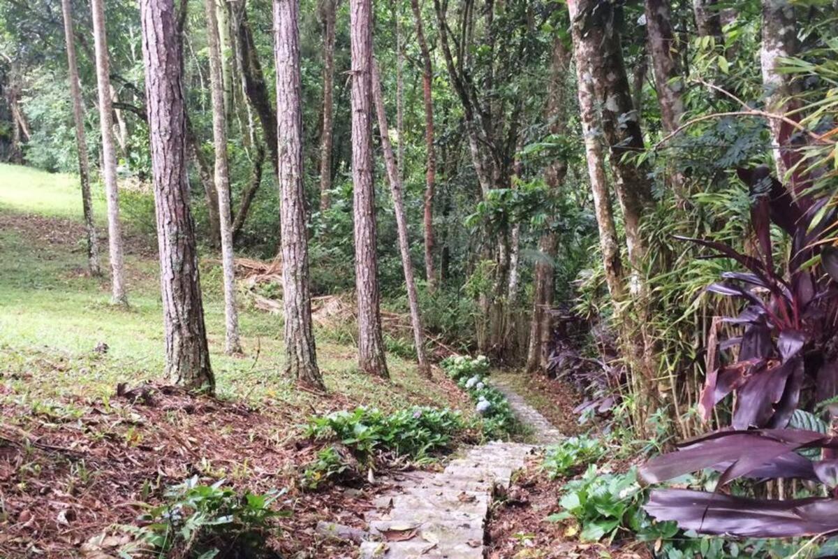 other