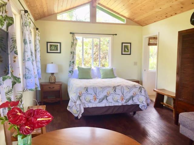 Puna Rainforest Retreat Hotspring: Green Bamboo Cottage view 3
