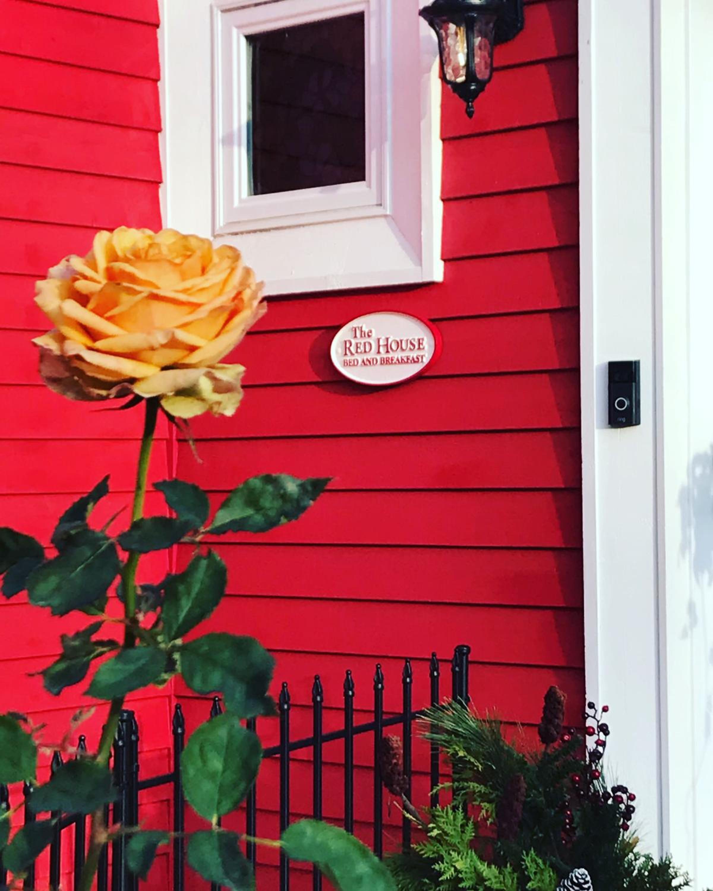The Red House Fredericton