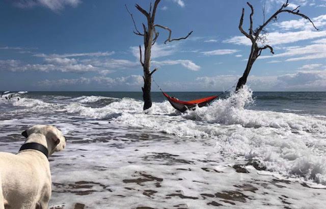 Gladstone Backpackers