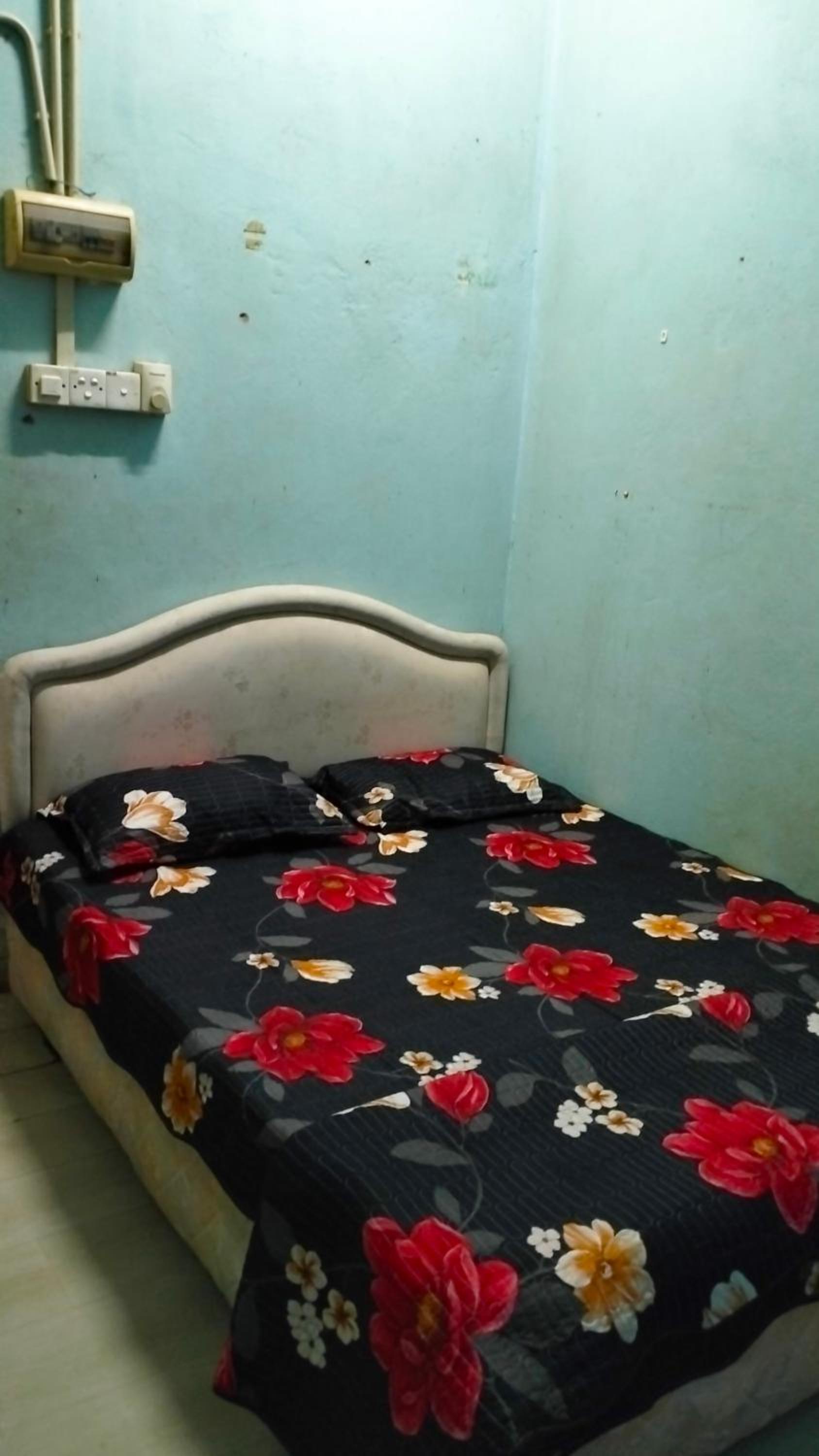 Hostel Dena moon inn 3 photo 1