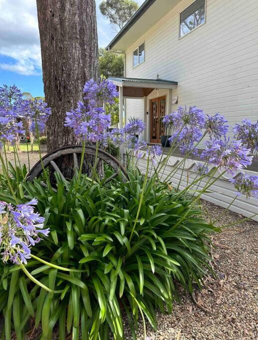 Beachfront House - Hot Tub, Ocean Views, Private Beach Pathway