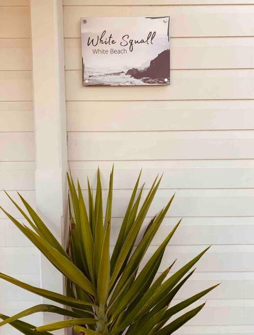 Beachfront House - Hot Tub, Ocean Views, Private Beach Pathway